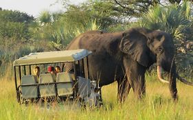 Tembe Elephant Park Lodge