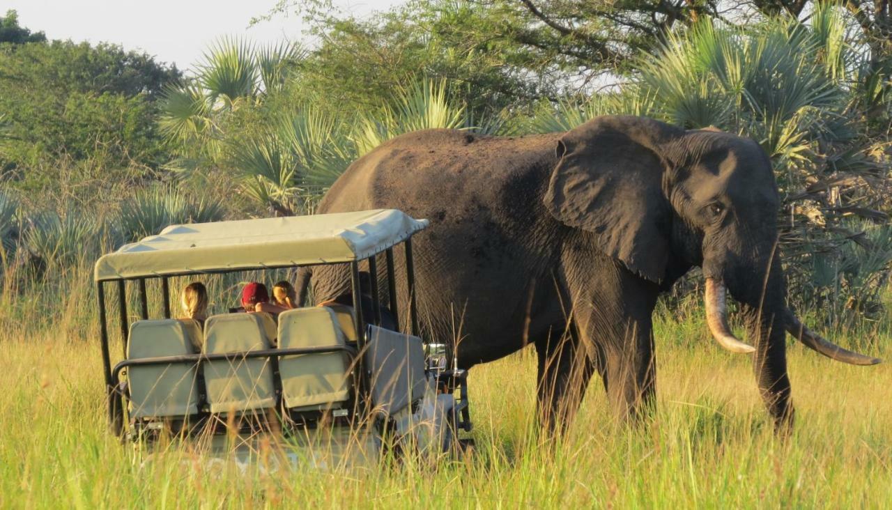 Tembe Elephant Park Lodge Sihangwane Buitenkant foto
