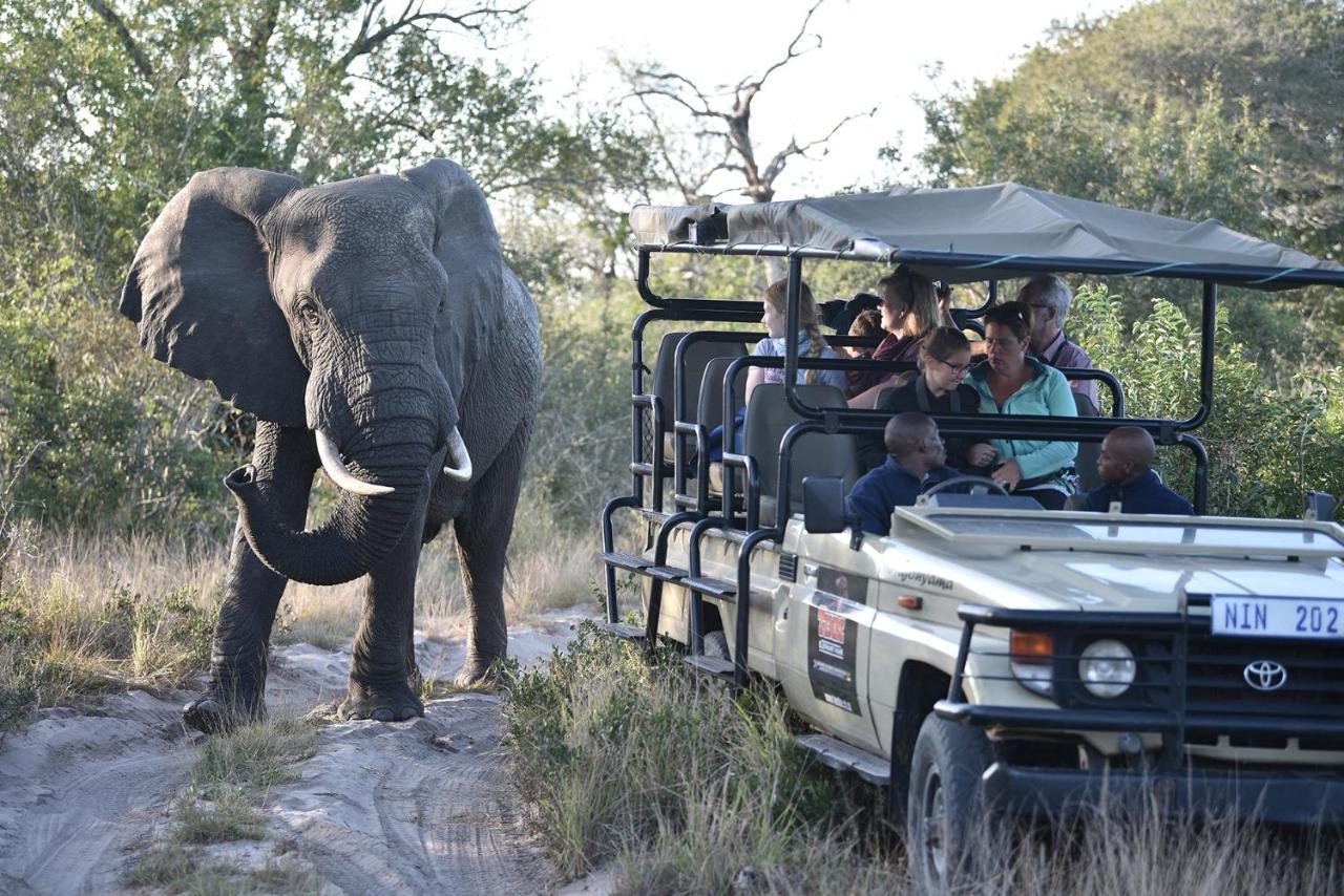 Tembe Elephant Park Lodge Sihangwane Buitenkant foto